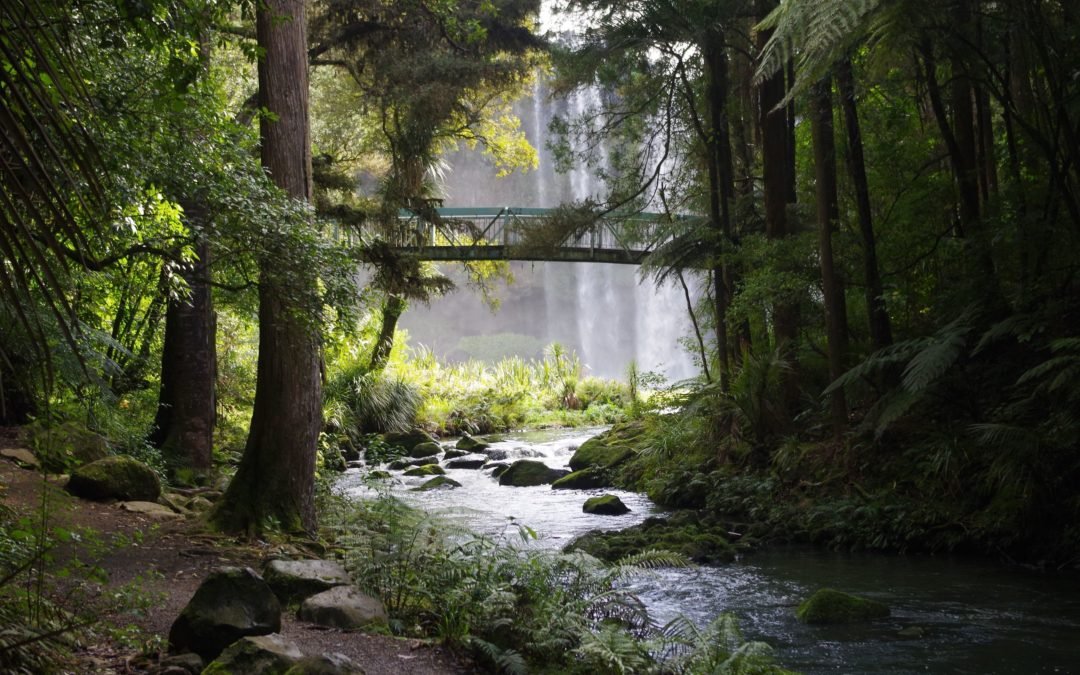 What is the Difference Between Organic and Natural Skincare?